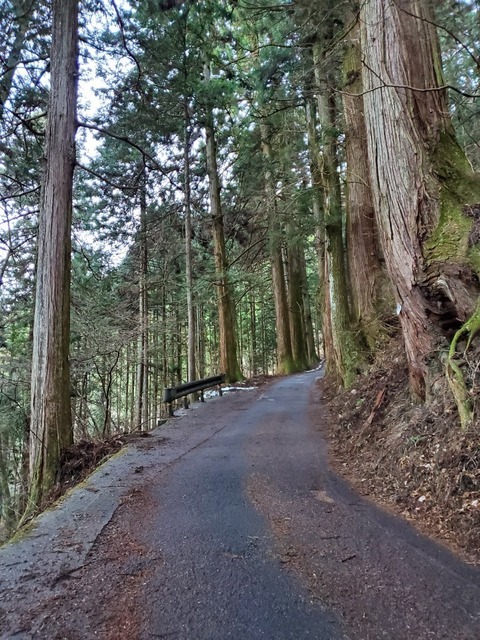 20200115_162412.jpg