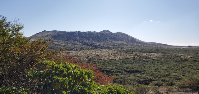 20201105_091408.jpg
