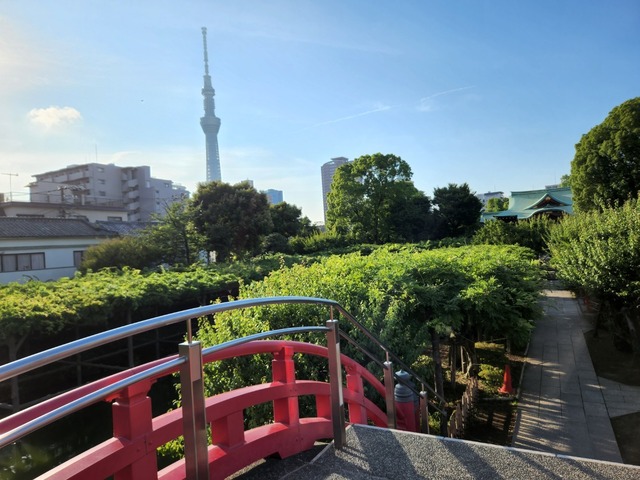 20240616_170636.jpg